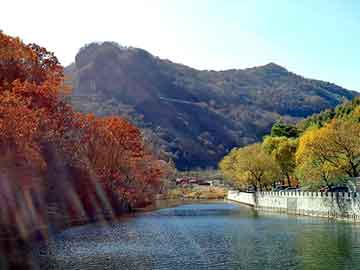 澳门二四六天天彩图库，牧草价格